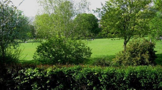 Woodbine City Rooms Exeter Bagian luar foto